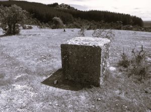 Maule Profundo - Región Del Maule