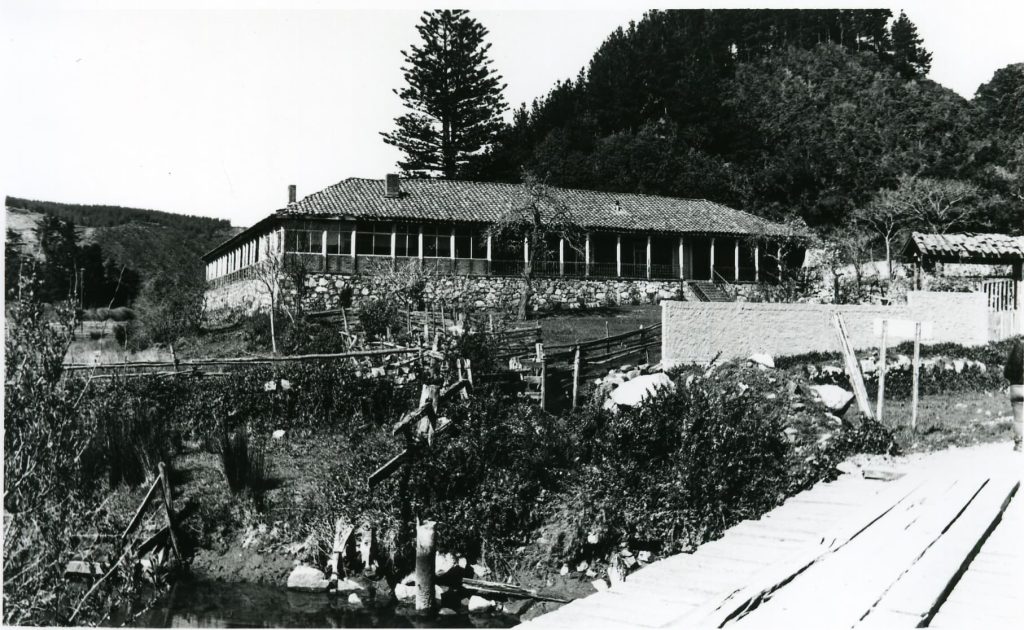 Maule Profundo - Región Del Maule